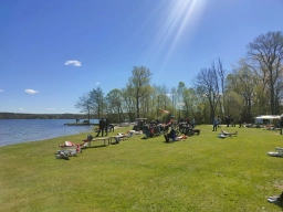 Wasserfliegen in Plau am See (Foto: Teja Albers)