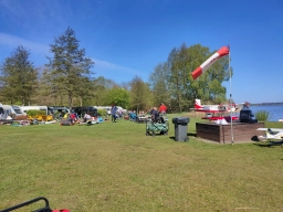 Wasserfliegen in Plau am See (Foto: Teja Albers)