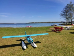 Wasserfliegen in Plau am See (Foto: Teja Albers)