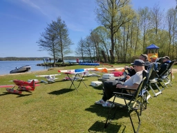 Wasserfliegen in Plau am See (Foto: Teja Albers)