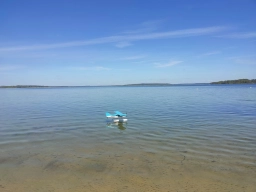 Wasserfliegen in Plau am See (Foto: Teja Albers)