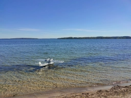 Wasserfliegen in Plau am See (Foto: Teja Albers)