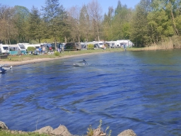 Wasserfliegen in Plau am See (Foto: Teja Albers)