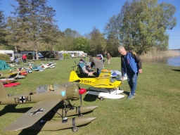 Wasserfliegen in Plau am See (Foto: Teja Albers)
