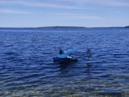 Wasserfliegen in Plau am See (Foto: Teja Albers)