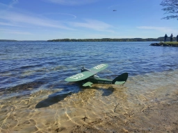 Wasserfliegen in Plau am See (Foto: Teja Albers)