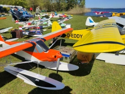 Wasserfliegen in Plau am See (Foto: Teja Albers)