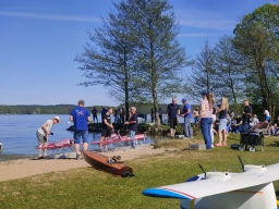 Wasserfliegen in Plau am See (Foto: Teja Albers)