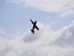 Freundschaftsfliegen 2026