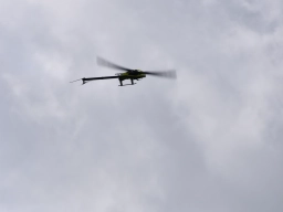 Freundschaftsfliegen 2026