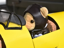 Freundschaftsfliegen 2026
