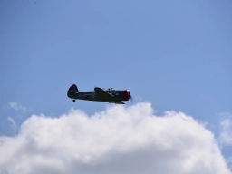 Freundschaftsfliegen 2026