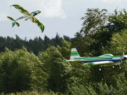 Freundschaftsfliegen 2026 - Foto W. Müller