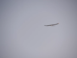 Lilienthal - Ein wirklich schönenes Modell für die Jugendarbeit und jung gebliebene Modellpiloten