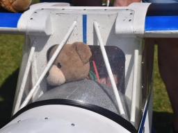 Kuscheltierfliegen 2025