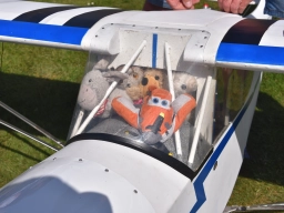 Kuscheltierfliegen 2025