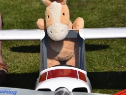 Kuscheltierfliegen 2025