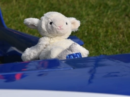 Kuscheltierfliegen 2026 - I'm ready for take off! (Foto: Thom)
