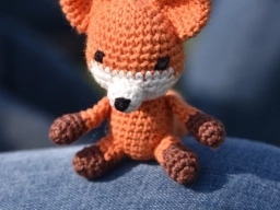 Kuscheltierfliegen 2026 (Foto: Thom)