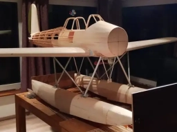 Arado 196 - Foto Bodo Wittje