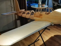 Arado 196 - Foto Bodo Wittje