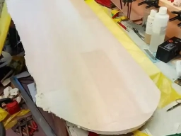 Arado 196 - Foto Bodo Wittje