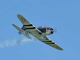 Foto: Wolfgang Müller